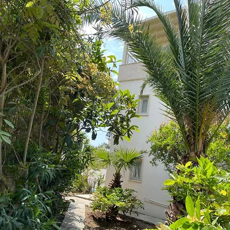 Tibet Case de vacanță Yalıkavak